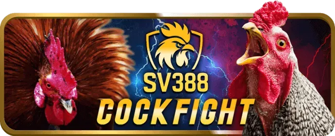 Cookie Thiết Yếu